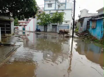 🚨 ब्रेकिंग न्यूज़ 🚨 शिकारीपारा में नालियों की सफाई नहीं होने से गलियों में भर रहा गंदा पानी, रहवासी परेशान।